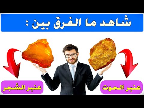 شاهدوا الفرق بين حجر العنبر و بين عنبر الحوت و أيهما أغلى سعرا شاهد و استفد