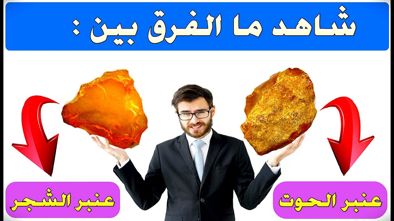 شاهدوا الفرق بين حجر العنبر و بين عنبر الحوت، و أيهما أغلى سعرا... شاهد ...