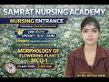 Morphology of Flowering Plants | Class 11 Biology | Nursing Entrance 2026 Live Class