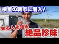 絶品旅【北海道根室の氷下魚(こまい)】この魚を知ってるか！？氷下魚はやっぱり丸仁