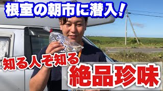 絶品旅【北海道根室の氷下魚(こまい)】この魚を知ってるか！？氷下魚はやっぱり丸仁
