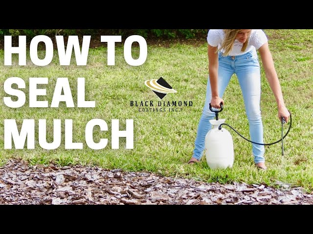 Is Mulch Glue A Game-Changer Or A Waste Of Money? Find Out Now! 