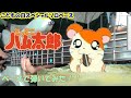 [こどもの日スペシャルソロベース] とっとこハム太郎OP曲をベースで弾いてみた!!