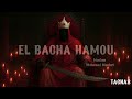 Maallem Mohamed Montari Bacha Hamou Lhoumer المعلم محمد مونتاري الباشا حمو ااحومر 