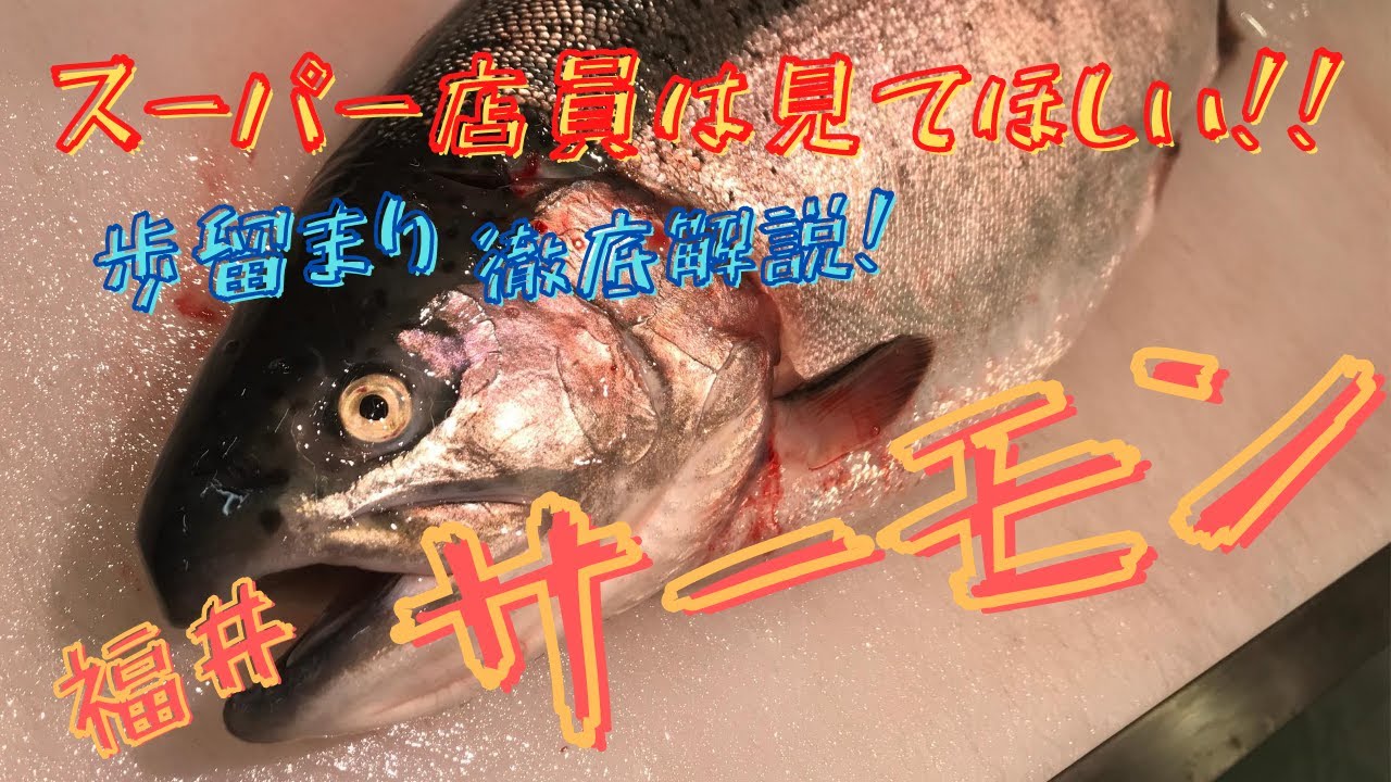 魚のおろし方 スーパー店員は見てほしい 福井サーモンで歩留まり徹底解説 Youtube 魚のおろし方 スーパー店員は見てほしい 福井サーモンで歩留まり徹底解説 Youtube