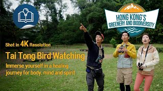 Hong Kong's Greenery & Biodiversity  Diary of birdwatching at Tai Tong (4K)