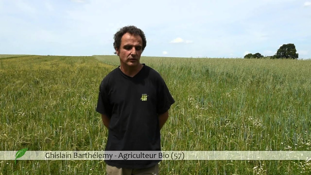 Le drainage agricole - Mr Barthélemy Agriculteur Bio