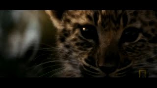 Bear McCreary - The Mercy Of The Living