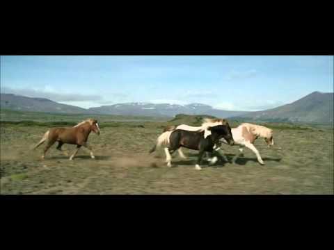 Video: O čem Je Film „Driving The Horses“: Datum Uvedení V Rusku, Herci, Trailer