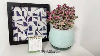 0 yuan get high-value flower pots, individuality and no waste