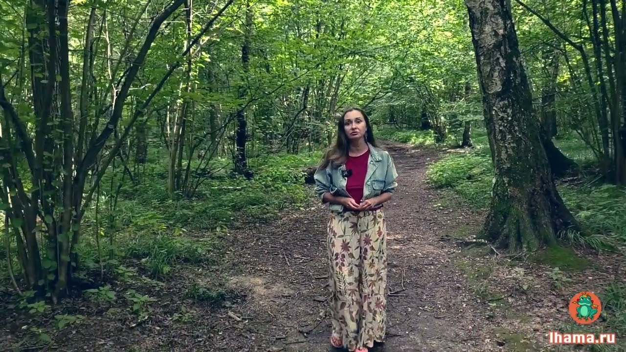 Презентационное видео Юлия Демина