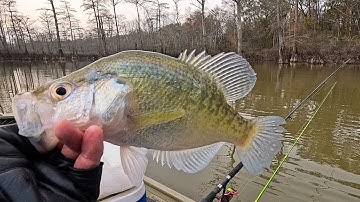 Try these jig colors for Winter Crappie!