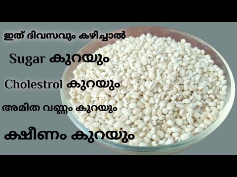 Barley recipe / ബാർലി ഉപ്മാവ് / Simpe recipe @pachyvlogs93