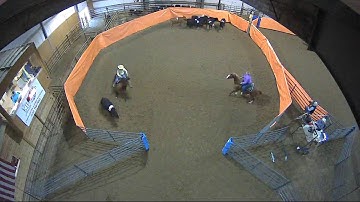 Big Sky Ranch Sorting Saddle Series #2 - #3 - Round #1 - Ride #23