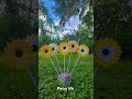 PHOTO - Origami SuNfLoWeRs #flower #sunflower #boutique  #origami #craft #art #rose #garden #shorts