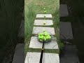 BallBoost Pro*: Easy and Efficient Ball Collection #smalleyes #smalleyes #sharps #anglepoise