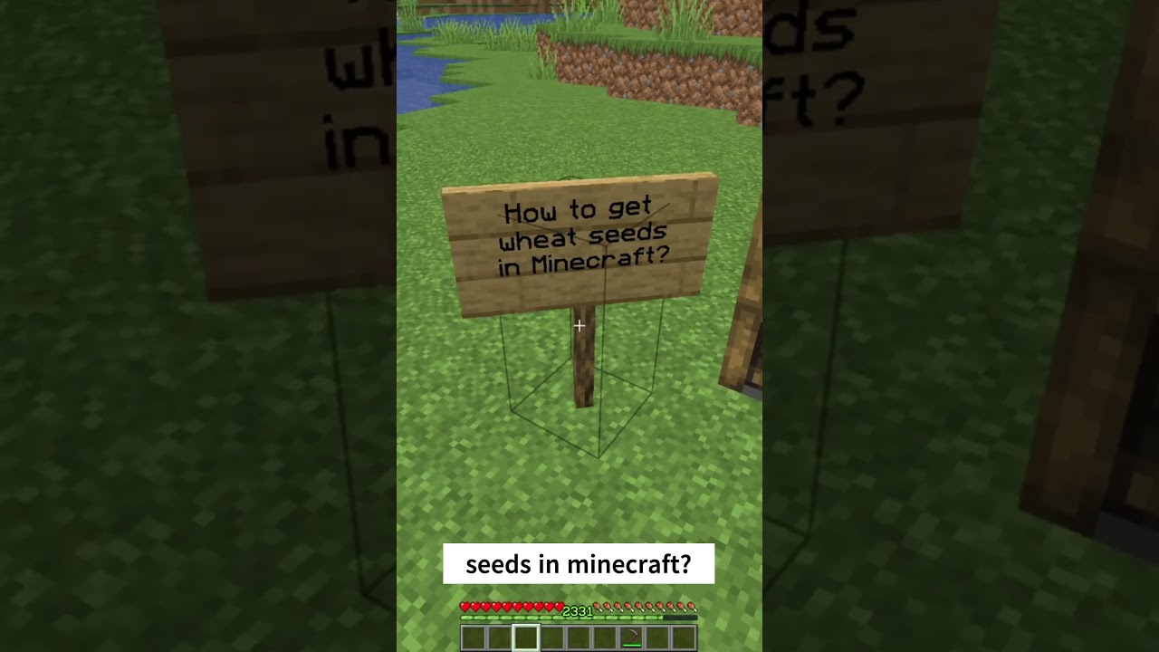 Minecraft Tips - How to get wheat seeds in minecraft? 