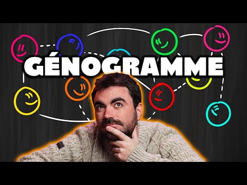 Vidéo: Qu'est-ce que les écomaps et les génogrammes ?