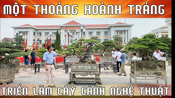 MỘT THOÁNG HOÀNH TRÁNG TRIỂN LÃM CÂY CẢNH NGHỆ THUẬT TT VĂN GIANG, HƯNG YÊN. #caycanhnghethuat