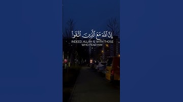 #quran #اكسبلور #المصحف #راحة_نفسية #youtube #قرآن #قران_كريم #تلاوة_خاشعة #explore #دويتو #duet