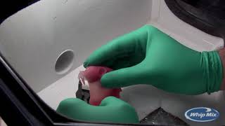 Preview Digital Dentures on the Asiga Max 3D Printer