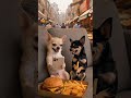🤣😁doggy comedy video 📷 vairal video 📸🤣..#youtubeshorts #funny #comedy #love #trending #vairalvideo