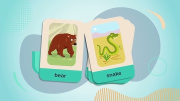 Wild Animals for Kids Flashcards Super Minds 2 Unit 2 Vocabulary