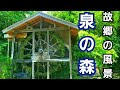 神奈川県大和市の「泉の森」で故郷の風景に出会った！