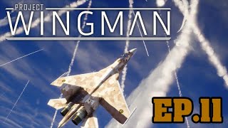 GUERRE FROIDE | Project Wingman [Ep.11]