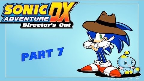 Sonic Adventure DX (Director