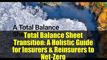 Total Balance Sheet Transition: A Holistic Guide for Insurers & Reinsurers to Net-Zero
