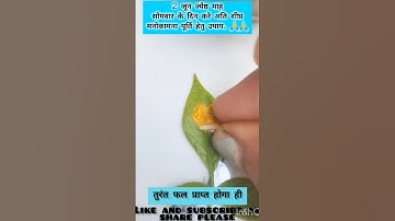 अति शीघ्र मनोकामना पूर्ण करने हेतु उपाय एक बेलपत्र एक चावल एक पिला चंदन की बिंदी शंकर पर विशेष उपाय💯