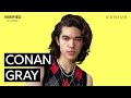 Conan Gray "Heather" Official Lyrics & Meaning | Verified