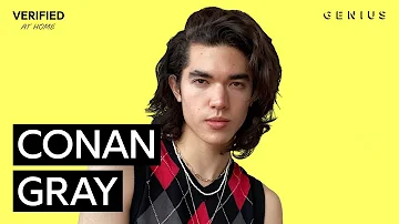 Conan Gray "Heather" Official Lyrics & Meaning | Verified