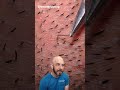 TONS of hair plucking in this video! (credit: @beardplucking on TT) #satisfying #trending #ingrown