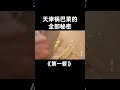 天津锅巴菜是啥？它可是天津人早点的“扛把子”！| China Zone - 纪录片