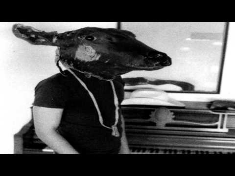 Shakey Graves - To cure what ails...
