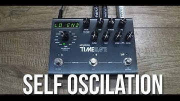 Strymon Timeline - Self-Oscillation Delay Demo