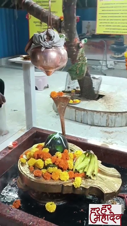 Invoke the power of Kaal Bhairav🔱Feel his protection, strength and divine energy.Jai Kaal Bhairav⚡🕉️