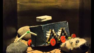 Celebrating Scientific Achievement in 2012 Animation: by Tom Hart