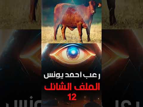 ما هو مشروع البقرة الحمراء رعب أحمد يونس