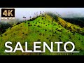 Salento cocora valley colombia 4k drone