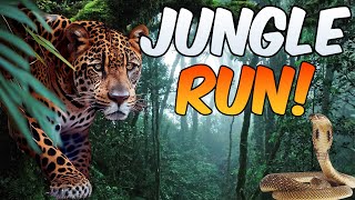 Jungle Run | Dance Break | Dance Now | Like GoNoodle | Brain Breaks|Dance Songs for kids of all ages screenshot 4