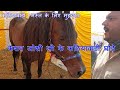 कठियावाड़ी घोड़े के लिए मुहब्बत - केशव जोशी Kathiawadi Horse Lover At RENEGADE HORSES 412 115 , Pune