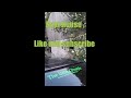 Forladt hus del 6 - The Urbex People