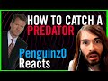 Moistcr1tikal reacts to catch a predator may 31st stream  penguinz0 reacts