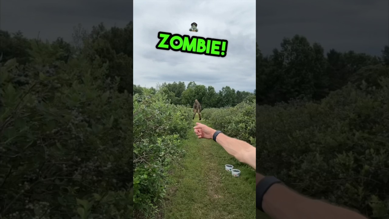 Blueberry Picking Adventures Interupted By A ZOMBIE!