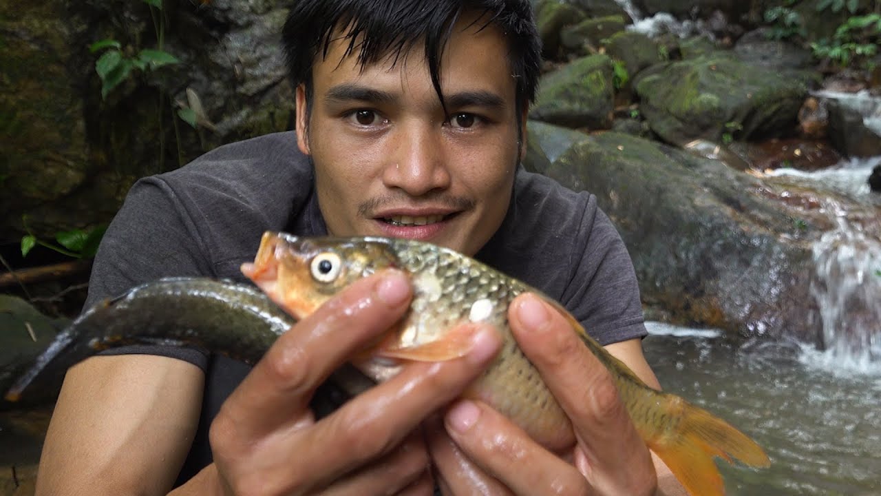 Trap stream fish with herbs - 6 months of survival in the wild ...