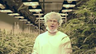 Exclusive tour of CannTrust - Pesticide-Free Medical Marijuana Cultivation Facility in Canada