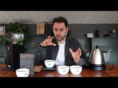 Dünyanın en pahalı kahvelerinden Kopi Luwak luwak kahvesi fiyat